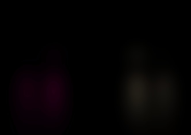 ashnyxftbotch3