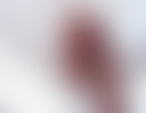 chichigiantesssession