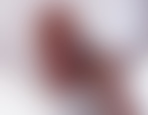chichigiantesssession