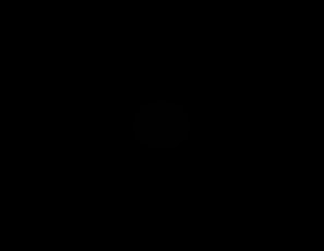 stsdavafoxx1